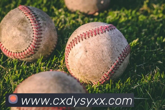 leyu乐鱼在线登录最新官网服务体系